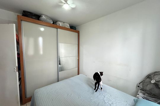 Apartamento para alugar com 2 quartos, 80m² em Bom Jesus, Contagem