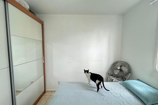 Apartamento para alugar com 2 quartos, 80m² em Bom Jesus, Contagem