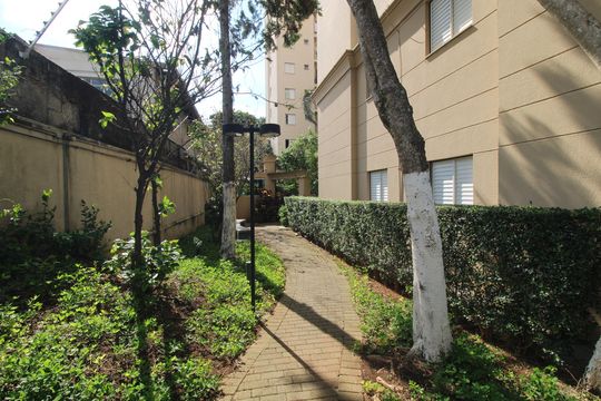 Área Comum de apartamento para alugar com 2 quartos, 50m² em Lauzane Paulista, São Paulo