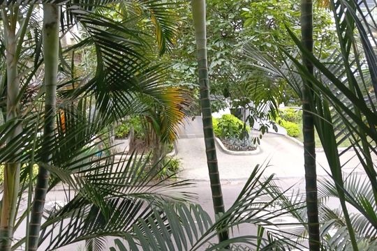 Apartamento para alugar com 2 quartos, 110m² em Lagoa, Rio de Janeiro