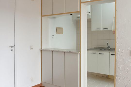 Cozinha de apartamento para alugar com 2 quartos, 48m² em Vila Inglesa, São Paulo
