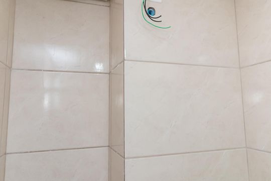 Banheiro de apartamento para alugar com 2 quartos, 45m² em Vila Formosa, São Paulo
