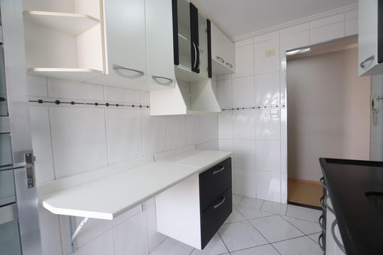 Cozinha de apartamento para alugar com 2 quartos, 50m² em Vila Ivone, São Paulo