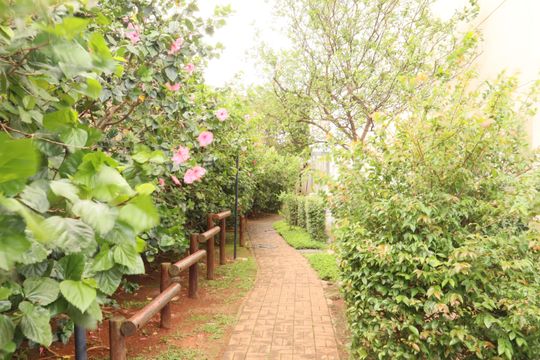 Área comum de apartamento à venda com 2 quartos, 47m² em Quinta da Paineira, São Paulo