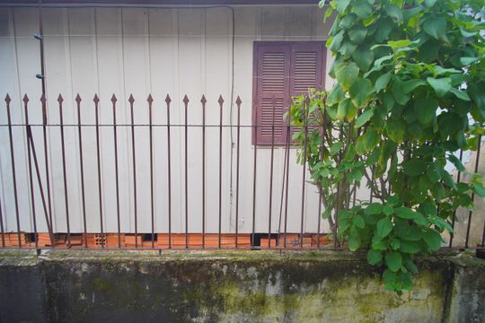 Vista do Quarto 2 de casa para alugar com 3 quartos, 332m² em Cristo Rei, São Leopoldo