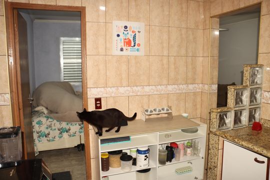 Apartamento à venda com 2 quartos, 57m² em Artur Alvim, São Paulo