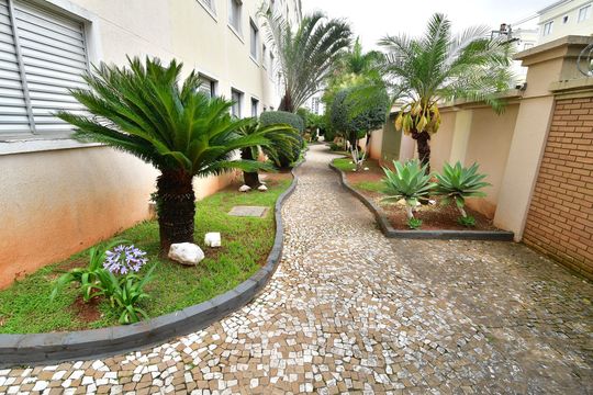 Área comum de apartamento à venda com 2 quartos, 93m² em Vila Joao Jorge, Campinas