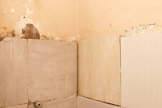 Banheiro / Área de Serviço de kitnet/studio para alugar com 1 quarto, 30m² em Centro Histórico, Porto Alegre