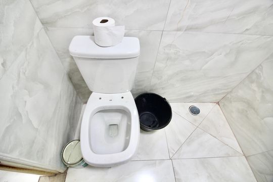 Banheiro de apartamento para alugar com 2 quartos, 56m² em Conjunto Residencial José Bonifácio, São Paulo