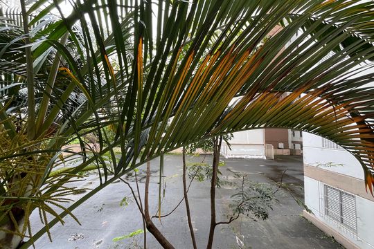 Quarto 3 - Vista de apartamento para alugar com 3 quartos, 62m² em Jardim Iris, São Paulo
