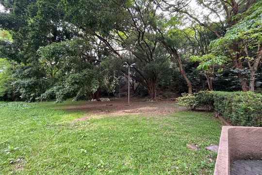Área comum de apartamento para alugar com 2 quartos, 50m² em Jardim Iris, São Paulo