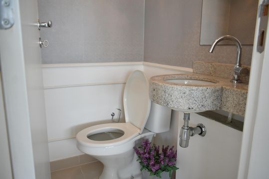 Lavabo de apartamento para alugar com 2 quartos, 104m² em Chácara Inglesa, São Paulo