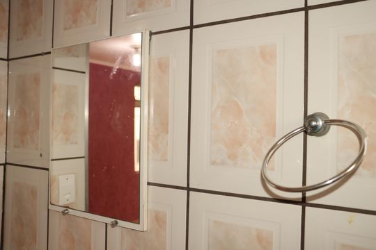 Banheiro de apartamento para alugar com 2 quartos, 48m² em Jardim Sapopemba, São Paulo