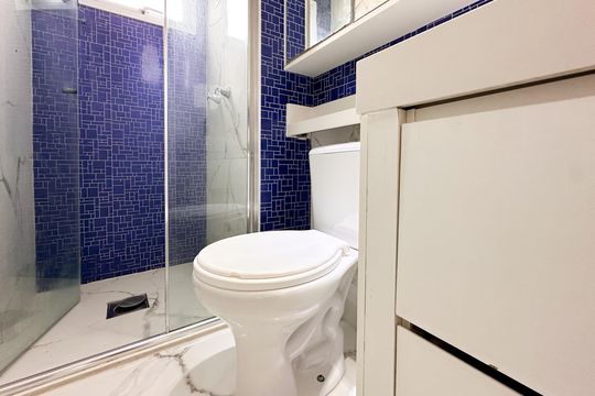 Banheiro Social de apartamento para alugar com 2 quartos, 44m² em Paulicéia, São Bernardo do Campo