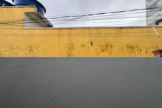 Vista - Quarto 2 de casa para alugar com 4 quartos, 270m² em Vila Campestre, São Bernardo do Campo
