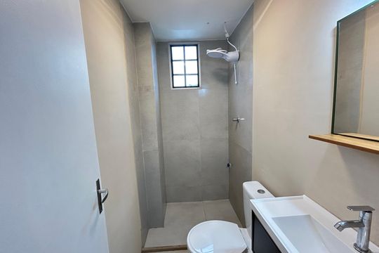Banheiro de apartamento para alugar com 2 quartos, 50m² em Madureira, Rio de Janeiro