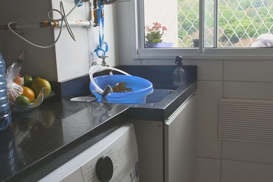 Área de Serviço de apartamento para alugar com 2 quartos, 35m² em Usina Piratininga, São Paulo