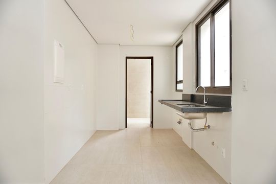 Cozinha  de apartamento à venda com 2 quartos, 75m² em Funcionários, Belo Horizonte