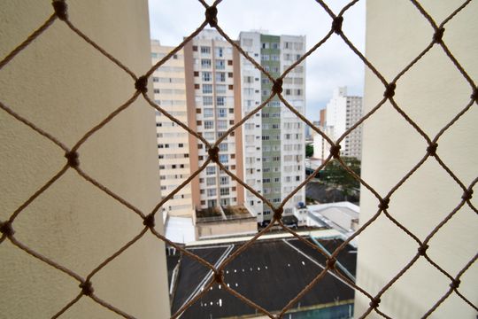 Sala - Vista de apartamento para alugar com 2 quartos, 80m² em Centro, Campinas