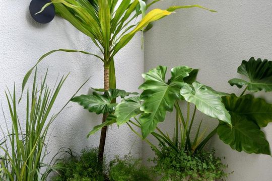 Garden de kitnet/studio à venda com 1 quarto, 31m² em Perdizes, São Paulo