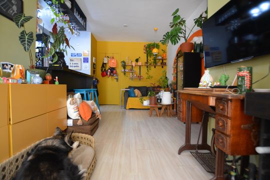 SALA de apartamento para alugar com 2 quartos, 57m² em Jardim Esmeralda, São Paulo