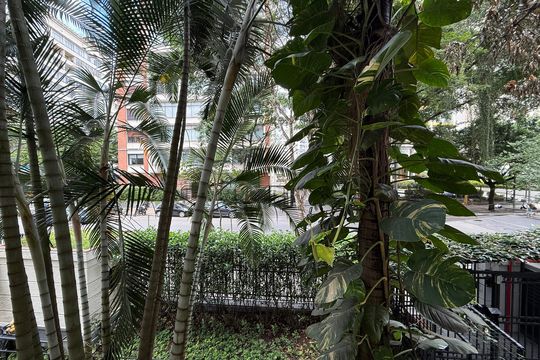Apartamento para alugar com 3 quartos, 120m² em Higienópolis, São Paulo