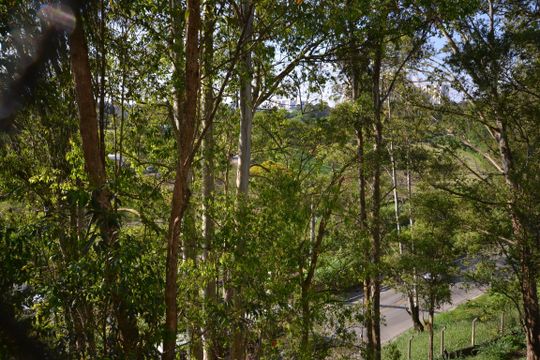 Quarto 1 de apartamento à venda com 2 quartos, 52m² em Jardim São Jorge, São Paulo