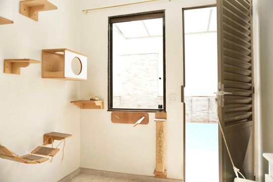 DCE completo  de casa à venda com 5 quartos, 330m² em Alto Caiçaras, Belo Horizonte