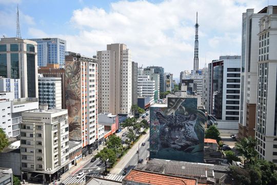 Vista de kitnet/studio para alugar com 1 quarto, 25m² em Consolação, São Paulo