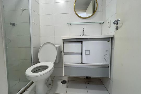 Banheiro - Armário de apartamento para alugar com 2 quartos, 53m² em Vila Siqueira, São Paulo