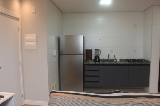 Cozinha - Armários de apartamento para alugar com 1 quarto, 44m² em Jardim Avelino, São Paulo