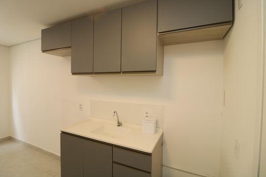 Cozinha de apartamento para alugar com 2 quartos, 35m² em Vila Ivone, São Paulo