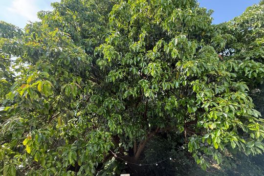 Casa 3 de casa à venda com 3 quartos, 150m² em Parque Nações Unidas, São Paulo