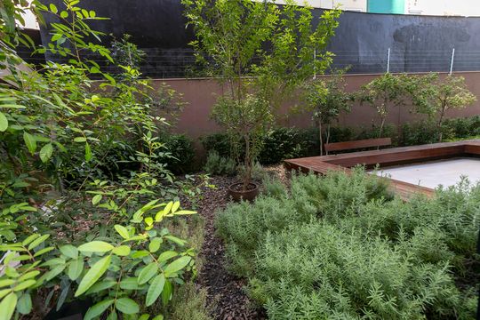 ÁREA VERDE de apartamento para alugar com 1 quarto, 36m² em Vila Itapura, Campinas
