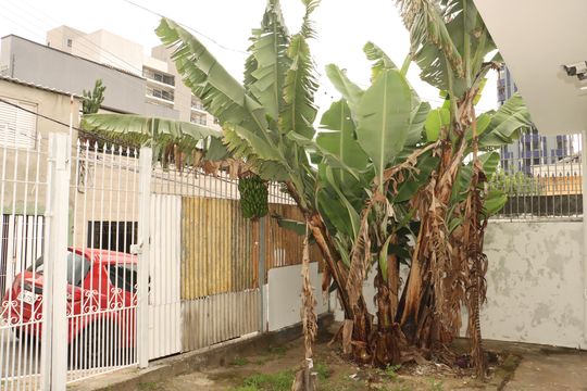 Casa à venda com 2 quartos, 208m² em Vila Formosa, São Paulo
