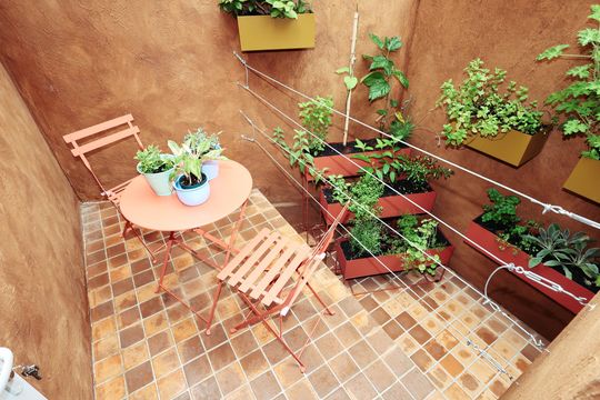 Jardim de kitnet/studio para alugar com 1 quarto, 15m² em Vila Mariana, São Paulo