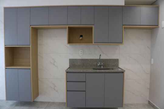 Cozinha de apartamento para alugar com 2 quartos, 41m² em Lapa de Baixo, São Paulo