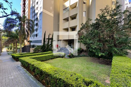 Apartamento para alugar com 1 quarto, 29m² em Bigorrilho, Curitiba