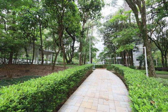 Área comum - Bosque de apartamento à venda com 3 quartos, 90m² em Cidade São Francisco , São Paulo