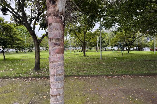 Praça de apartamento à venda com 2 quartos, 82m² em Recreio dos Bandeirantes, Rio de Janeiro