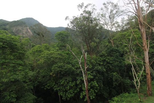 Suíte - Vista de apartamento para alugar com 2 quartos, 51m² em Jacarepaguá, Rio de Janeiro