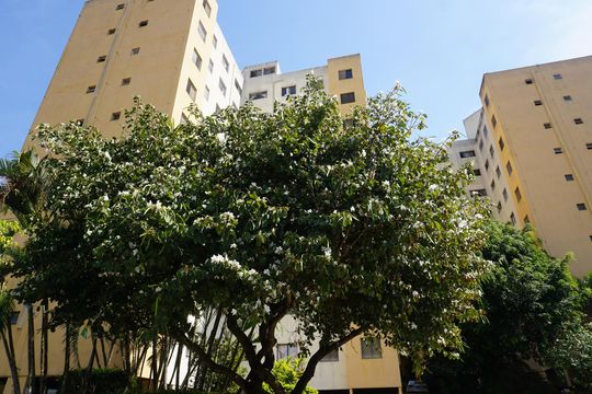 Área comum de apartamento para alugar com 2 quartos, 60m² em Jardim Vitória, Embu das Artes