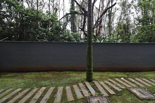 Vista do Quarto 2 de apartamento para alugar com 2 quartos, 51m² em Rp3 (regiões de Planejamento), Santo André