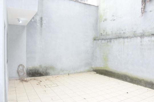 Quintal do fundo de casa para alugar com 3 quartos, 318m² em Vila California, São Paulo