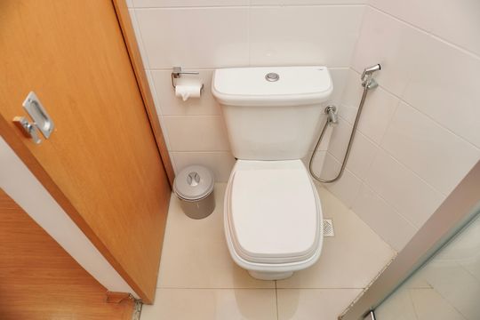 Suíte - Banheiro de apartamento para alugar com 2 quartos, 65m² em Cruzeiro, Belo Horizonte