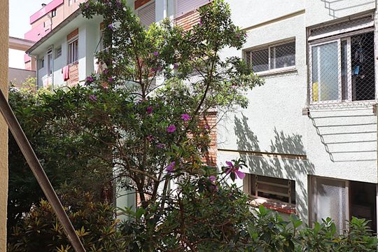 Vista da Sala de apartamento para alugar com 3 quartos, 98m² em Rio Branco, Porto Alegre