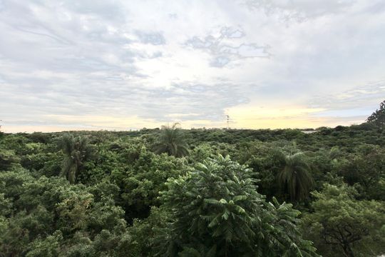 Vista de apartamento à venda com 2 quartos, 40m² em Tres Barras, Contagem