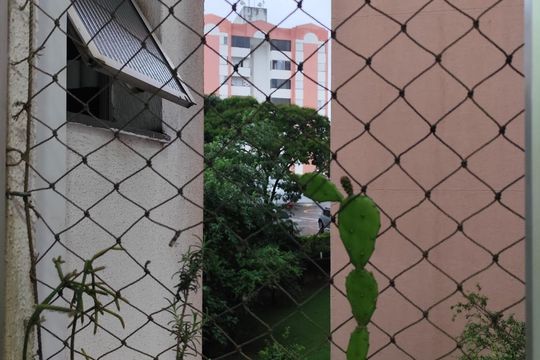 Vista de apartamento para alugar com 2 quartos, 57m² em Parque das Camelias, Campinas