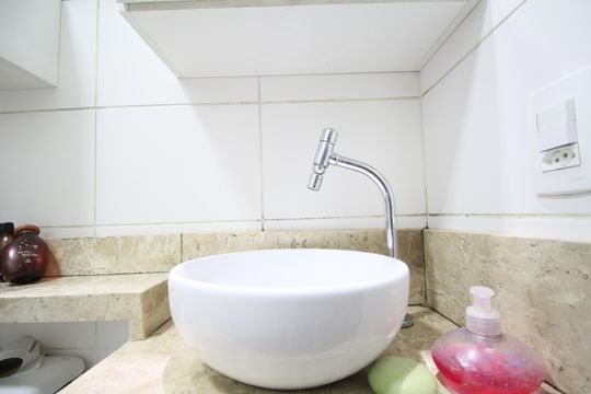 Banheiro de apartamento para alugar com 2 quartos, 47m² em Jardim Leonidas Moreira, São Paulo