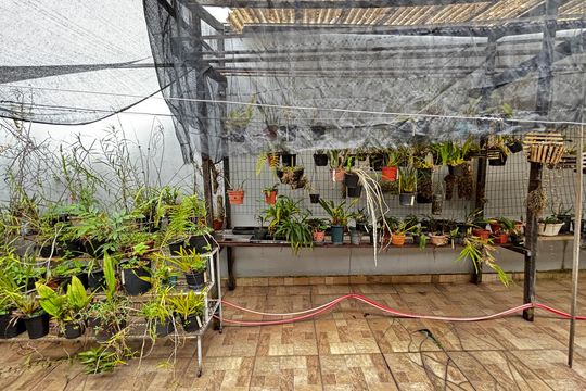 Quintal de casa à venda com 3 quartos, 212m² em Vila Lucinda, Santo André